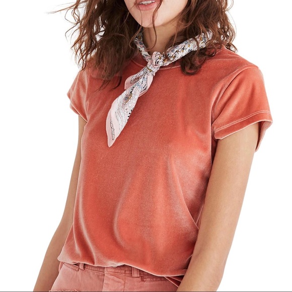 Madewell Tops - Madewell | Velvet Tee in Light Pink